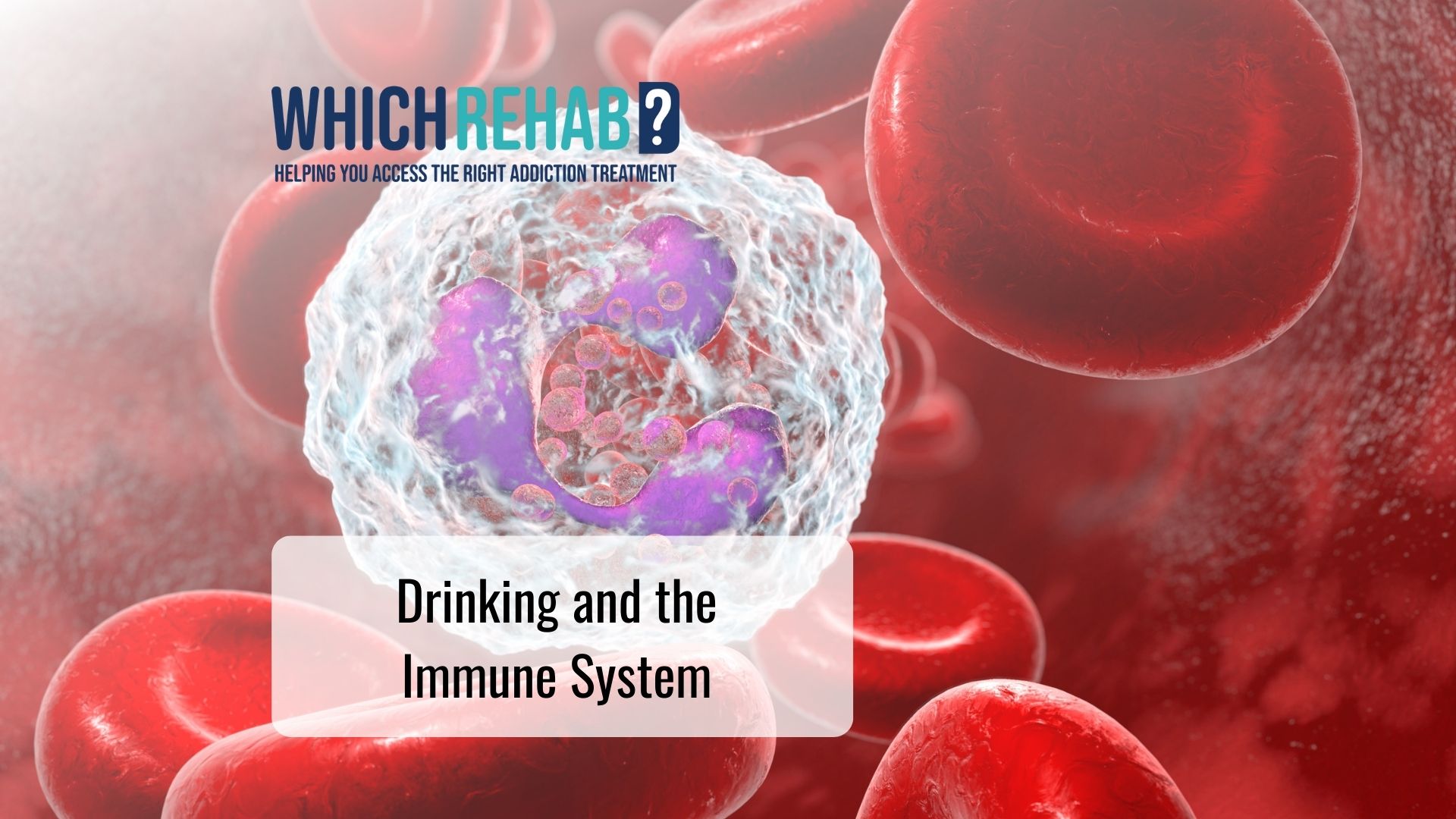 alcohol affecting immune system