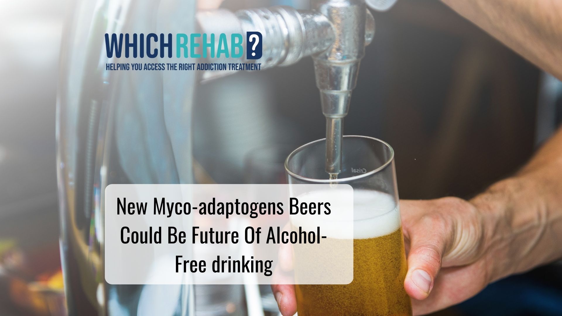 Myco-adaptogens beers making an alcohol free future