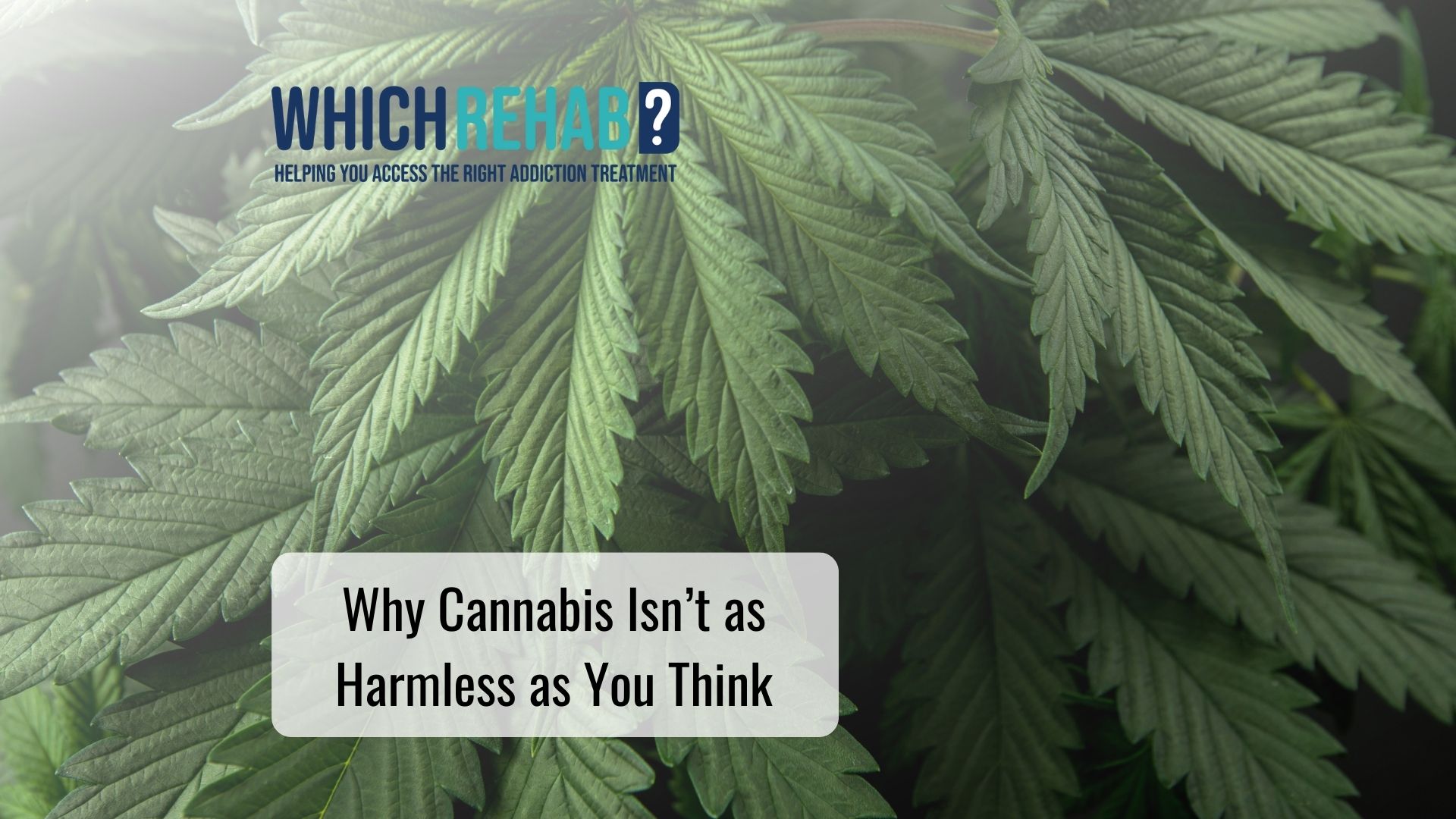 A joint on a table - Cannabis Isn’t as Harmless as You Think blog - Which Rehab