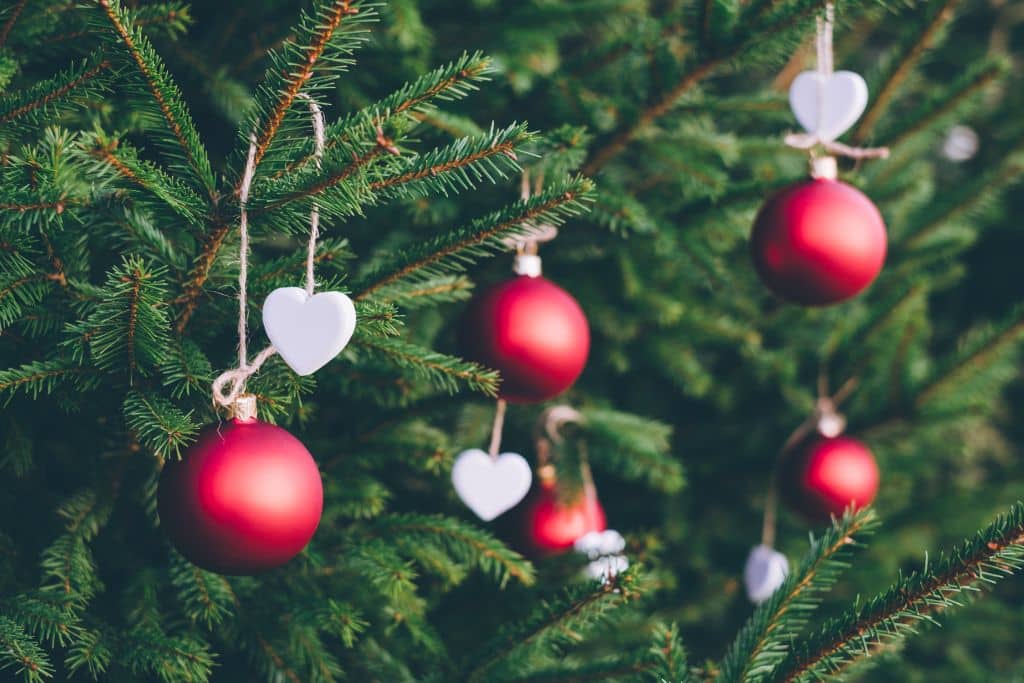 A close up of red and silver baubles hanging in a Christmas tree - Which Rehab