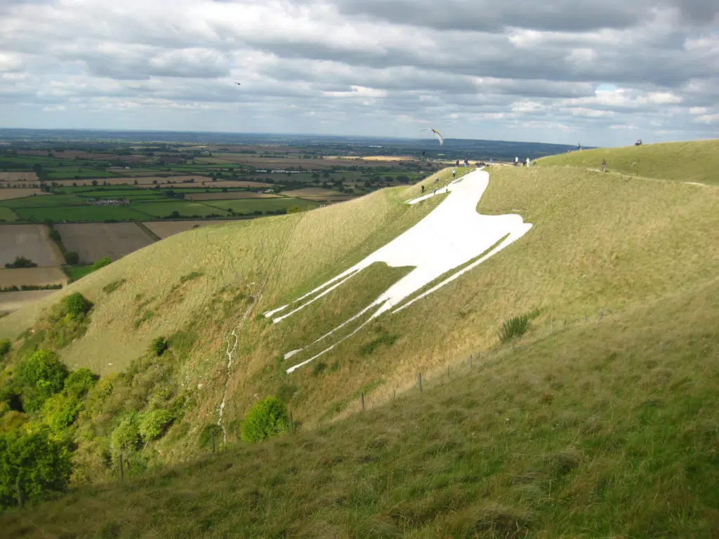 Which Rehab For The Whole Journey